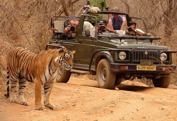 Ranthambore National Park Ranthambore National Park